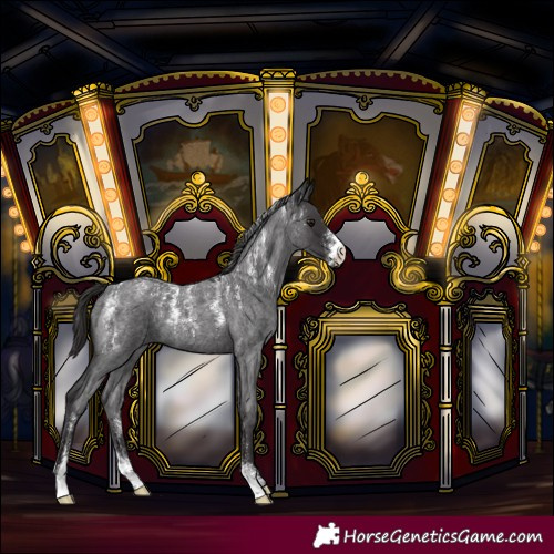 Horse Color:Powder White Smoky Blue Roan 