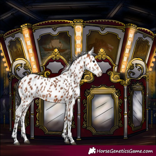 Horse Color:Bay Leopard 