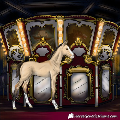 Horse Color:Buckskin Dun Splash 