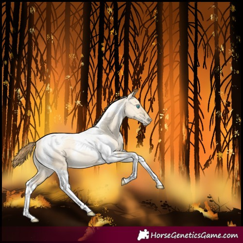 Horse Color:Sable Cream Champagne Pearl Dun Tobiano
