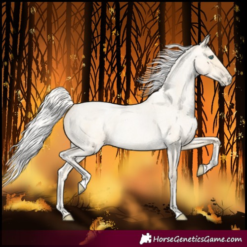 Horse Color:Silver Buckskin Roan Pearl 
