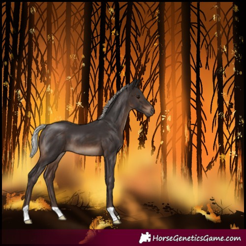 Horse Color:Silver Brown 