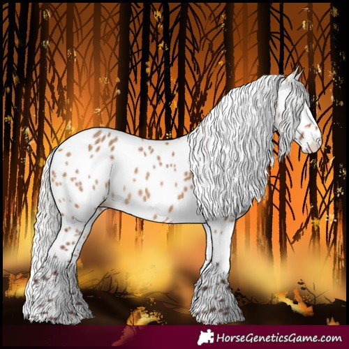 Horse Color:Silver Brown Dun Leopard 