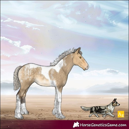 Horse Color:Powder White Silver Buckskin Dun Tobiano Rabicano 