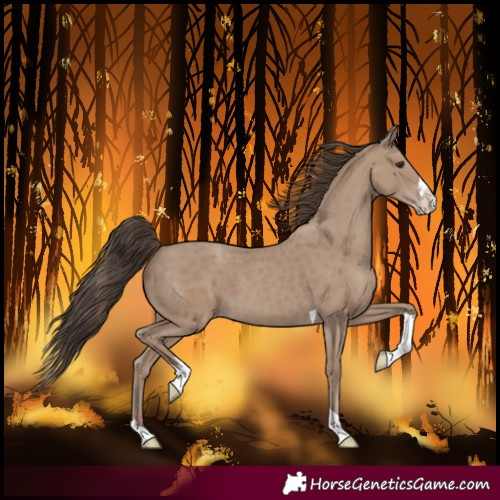 Horse Color:Classic Champagne Splash Tobiano 