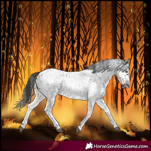 Horse Color:White Spotted Blue Roan Splash Frame Blanket