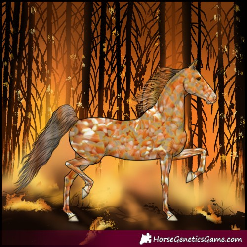 Horse Color:Classic Champagne Splash Tobiano 