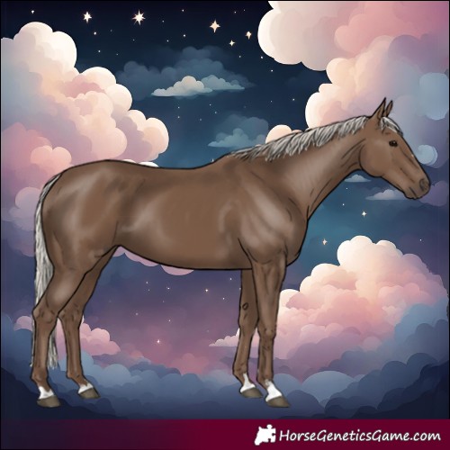 Horse Color:Silver Black 