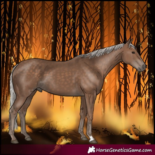 Horse Color:Silver Black 