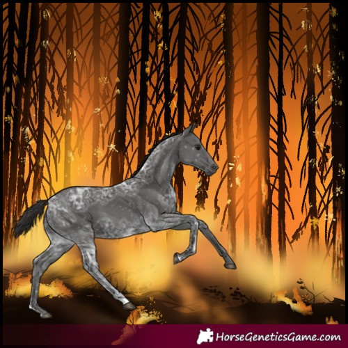 Horse Color:Smoky Black Ice 