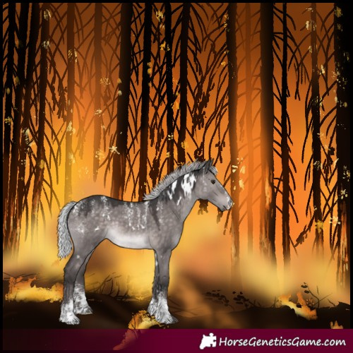 Horse Color:Powder White Platinum White Spotted Silver Brown Dun Rabicano 