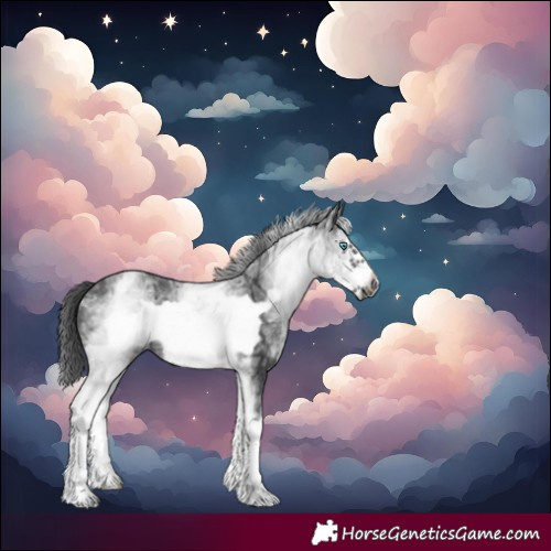 Horse Color:White Spotted Black Ice Frame 