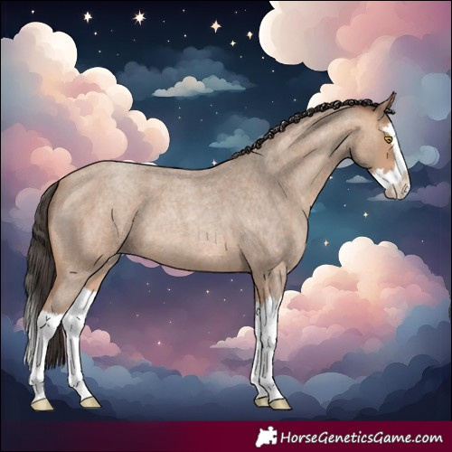Horse Color:Amber Champagne Roan Splash 