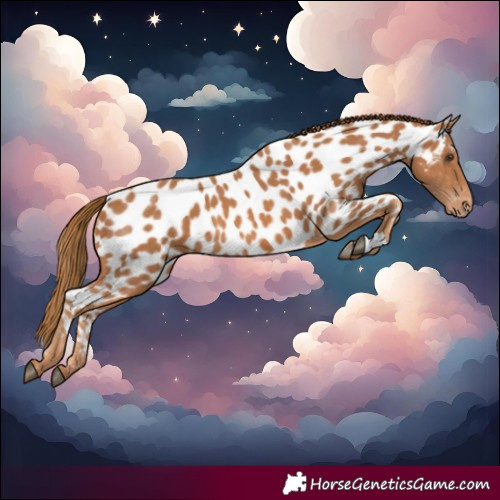 Horse Color:Chestnut Near Leopard