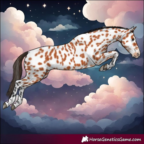 Horse Color:Bay Leopard 