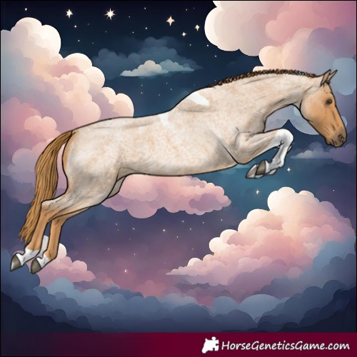 Horse Color:Red Roan Tobiano