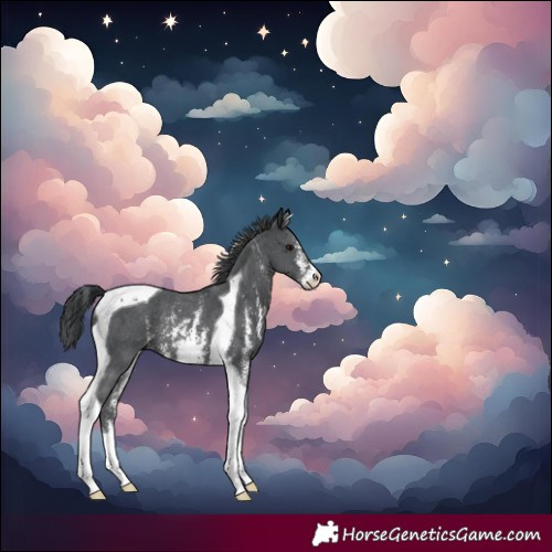 Horse Color:Black Sabino Tobiano Rabicano