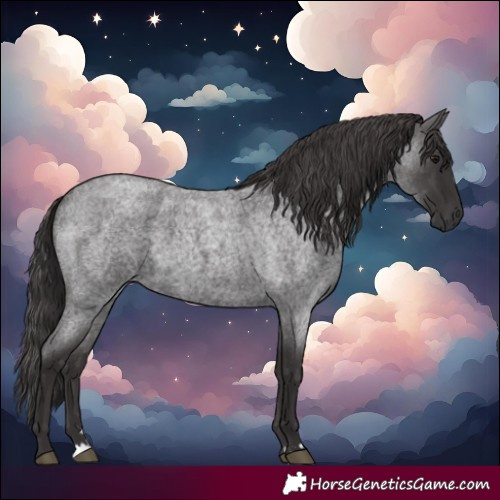 Horse Color:Smoky Blue Roan 