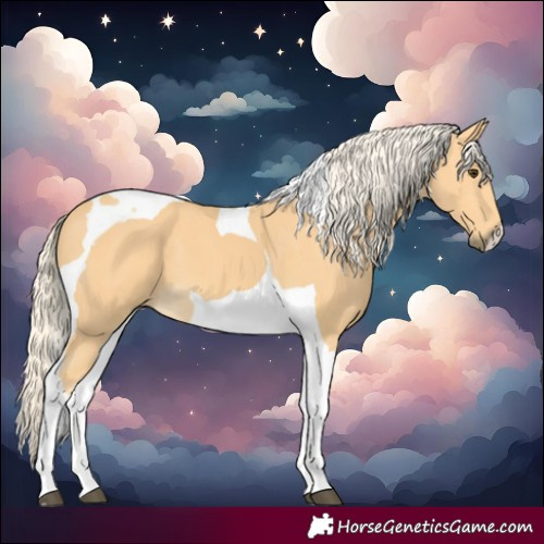 Horse Color:Palomino Tobiano