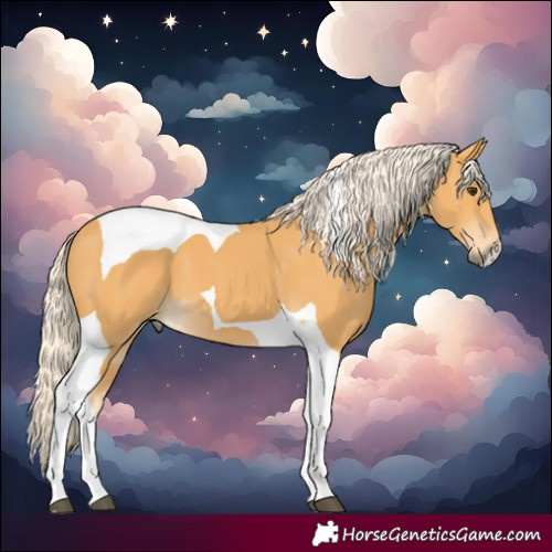 Horse Color:Palomino Tobiano 