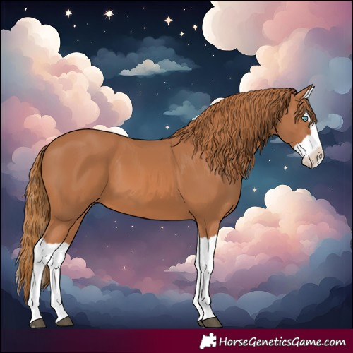 Horse Color:Chestnut Splash