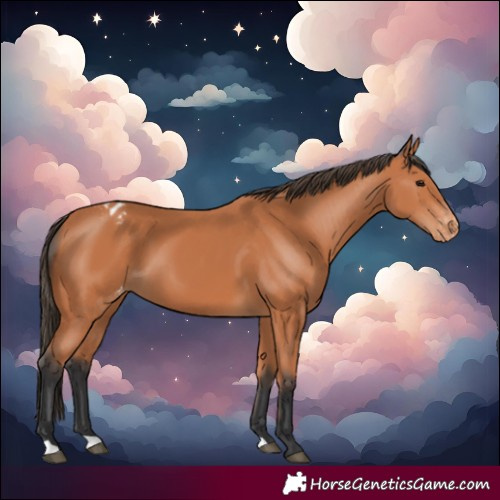 Horse Color:Bay Varnish 