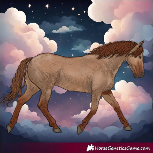 Horse Color:Red Dun Rabicano
