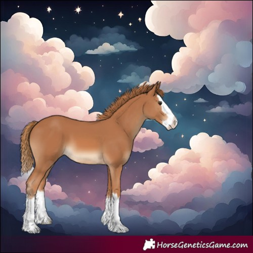 Horse Color:Chestnut Splash
