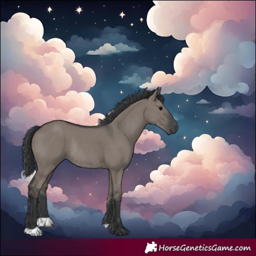Horse Color:Grullo Rabicano 
