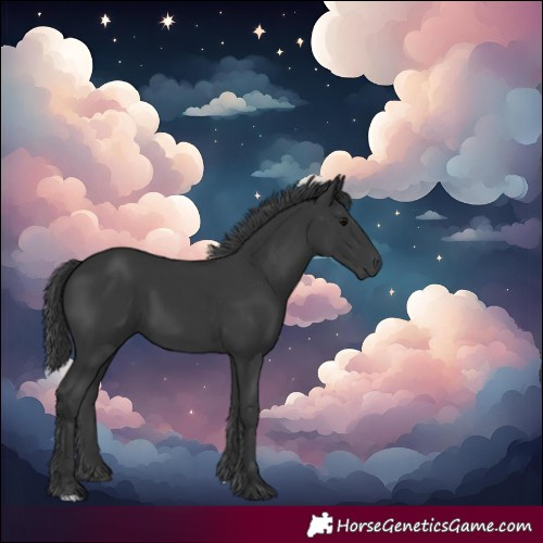 Horse Color:Black 