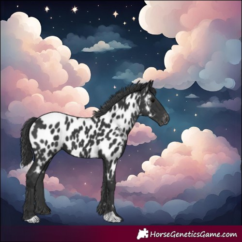 Horse Color:Black Near Leopard 