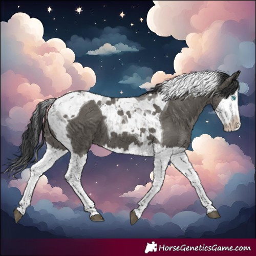 Horse Color:Grullo Splash Tobiano 