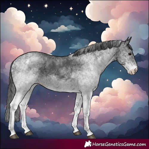 Horse Color:White Spotted Black