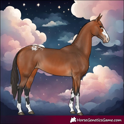 Horse Color:Bay Snowcap 