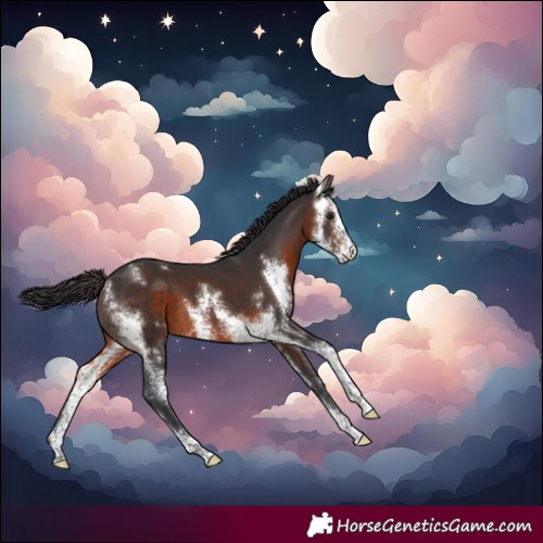 Horse Color:Brown Sabino Varnish 