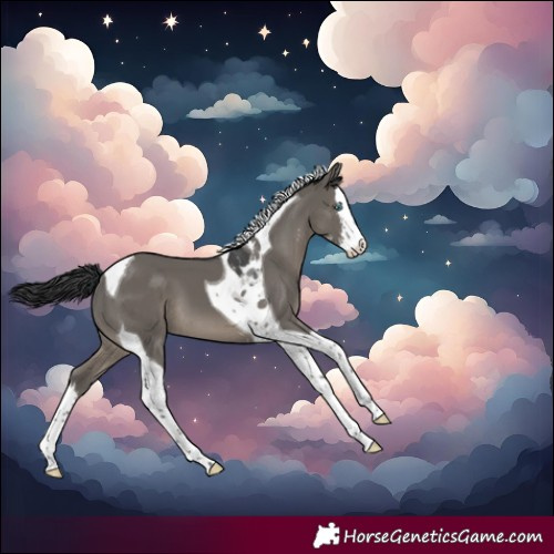 Horse Color:Grullo Sabino Splash Tobiano 
