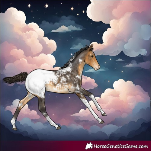 Horse Color:White Spotted Buckskin Tobiano Snowcap 