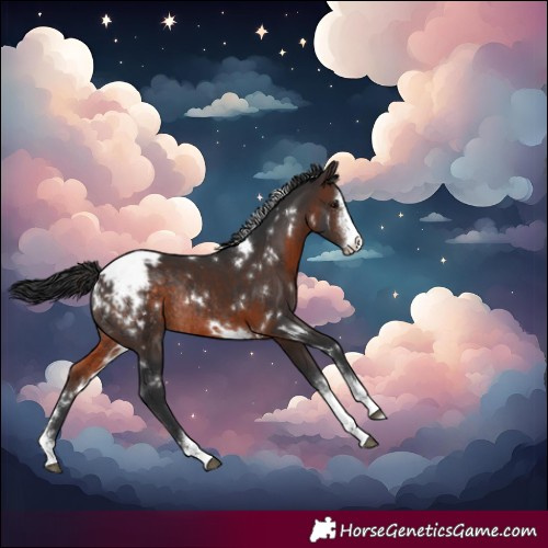 Horse Color:White Spotted Brown Sabino Snowcap Rabicano 