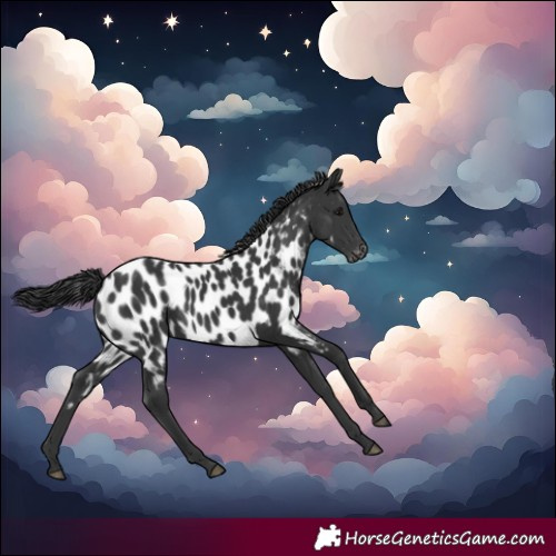 Horse Color:Black Near Leopard 