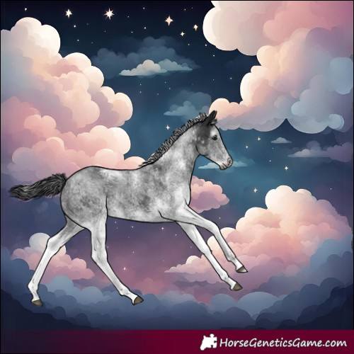 Horse Color:Gray White Spotted Smoky Black Rabicano 