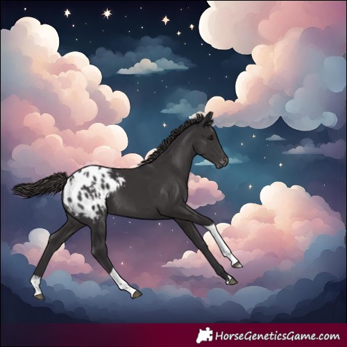 Horse Color:Smoky Black Tobiano Varnish