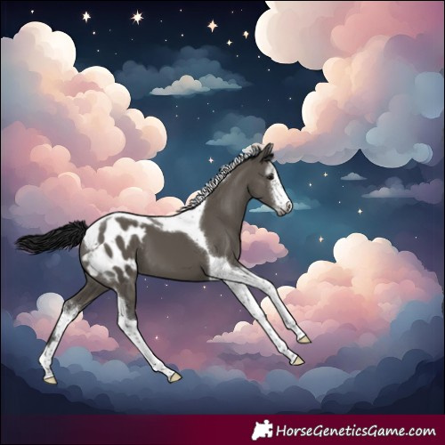 Horse Color:Gray Smoky Grullo Sabino Tobiano Blanket