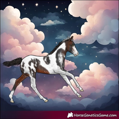 Horse Color:Brown Sabino Tobiano Blanket