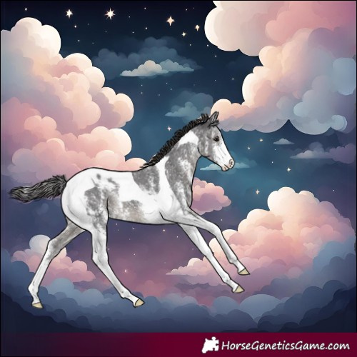 Horse Color:Smoky Black Sabino Tobiano Snowflake Varnish 
