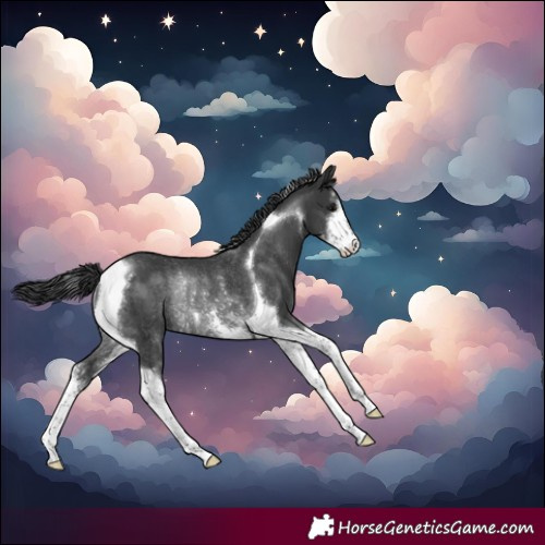 Horse Color:Black Sabino Tobiano Varnish Rabicano 