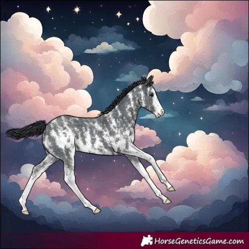 Horse Color:Black Sabino