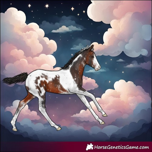 Horse Color:Brown Sabino Tobiano Blanket 