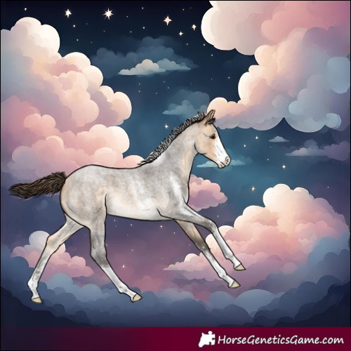 Horse Color:Buckskin Roan Sabino Skewed LP Spotted