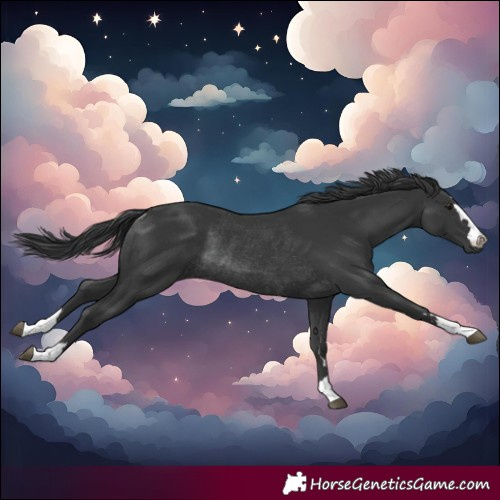 Horse Color:Black Rabicano 