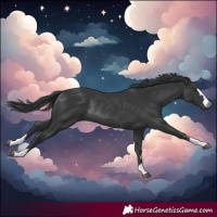 Horse Color:Black Rabicano 